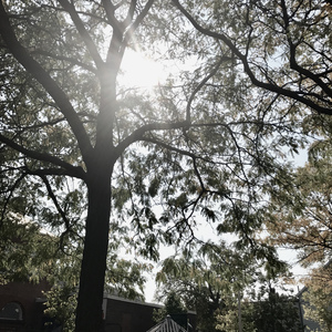 我爱的人（Cover 林宥嘉）