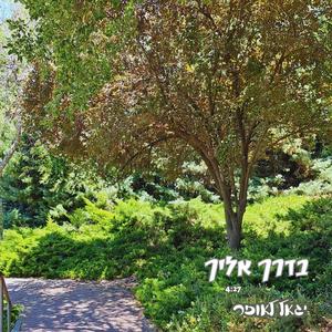 בדרך אליך - יגאל לאופר
