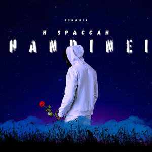 Handinei