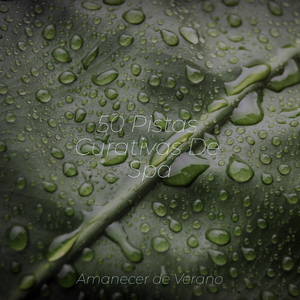 Envuelto en Luminescencia