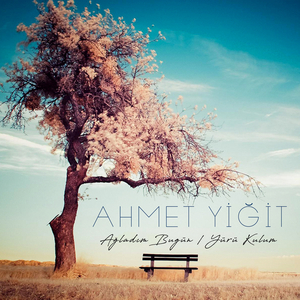 Elinden Geleni Ardına