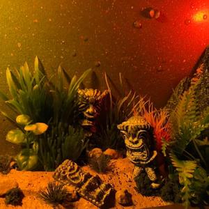 Tribal (feat. Kozy! & Oh3000)