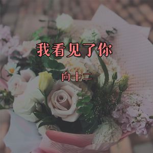 我看见了你