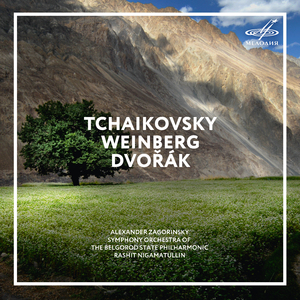 Variations on a Rococo Theme, Op. 33: Var. 3. Andante sostenuto