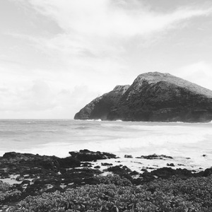 会在迷乱中找到最后的渴望