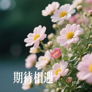 期待相遇