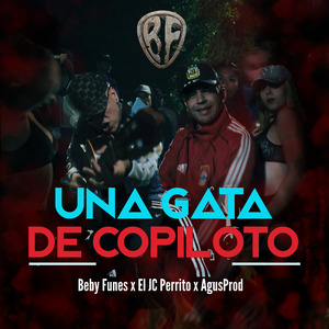 Una Gata de Copiloto