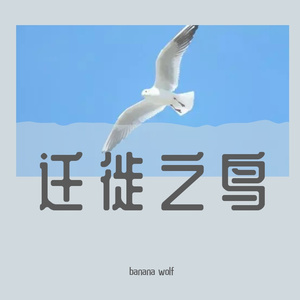 迁徙之鸟