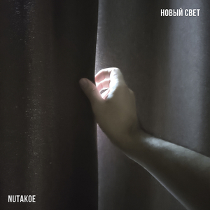 Власть шизам