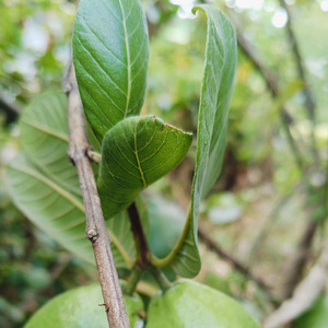 Mengambil alih pasangan hidupku