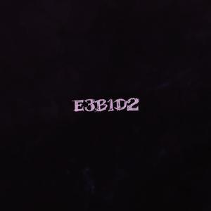 E3B1D2