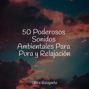 Hamaca En Los Árboles