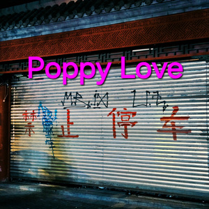 Poppy Love (feat. EVEN)