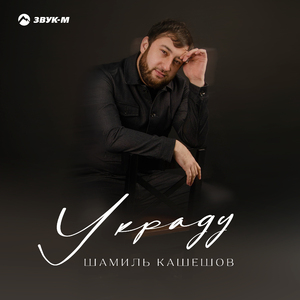 Украду