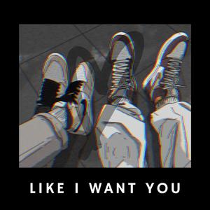 Like I Want You Slowed Reverb