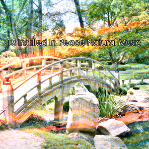 用于正念冥想和放松的自然白噪声