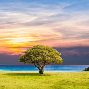 生活就是柴米油盐