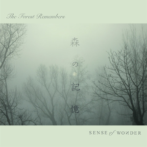 森の記憶