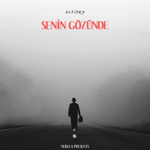 Senin Gözünde