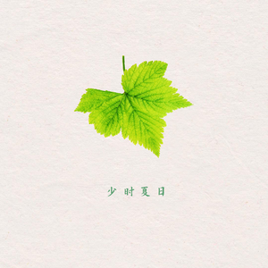 十一岁那年的夏天，午后的风清冽