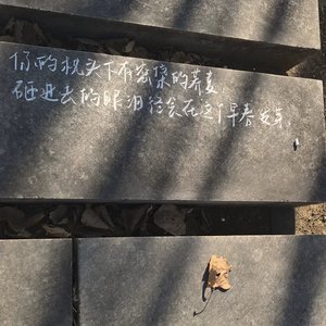 你走后空气变得好慢