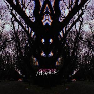 Metromorphosis