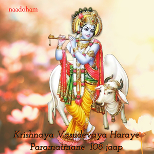 Krishnaya Vasudevaya Haraye Paramatmane 108 Jaap