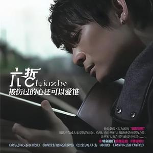 被伤过的心还可以爱谁 (DJ铁柱版)