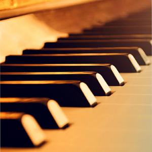 Medley: Claire de lune/Opus no 2 Moonlight sonata 1st movement/Nocturnes, Op. 9 No. 2/Nocturnes, No. 21/Waltz In A minor, B. 150, Op. Posth/Ave Maria(Bach-Gounod)/Canon in D/Rondò alla Turca, K.331/Swan lake/Hungarian Rhapsody No. 2/Bagatelle No. 25