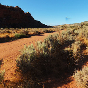 まぶしい朝の匂い
