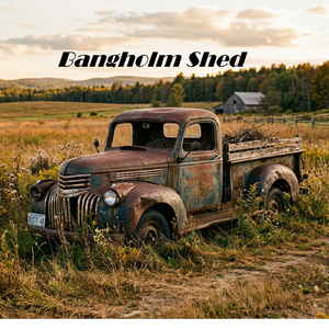 Bangholm Shed