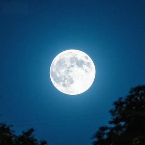 星野藏轻语