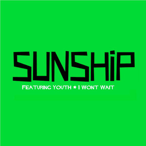 I Won't Wait (feat. Youth) (Extended Mix)