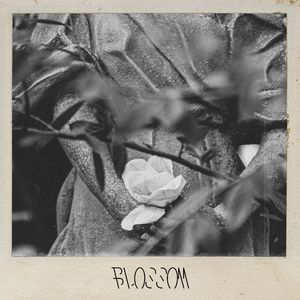 BLOSSOM