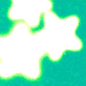 estrela (volta pra mim)
