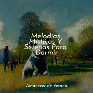 Tonos de cosecha con especias