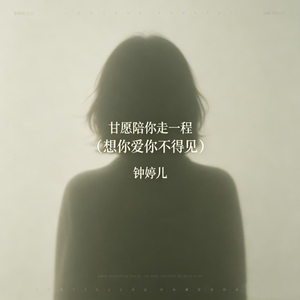 甘愿陪你走一程（想你爱你不得见）