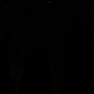 曼珠沙华(prod EVO MUSIC)