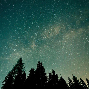 From Here to Eternity