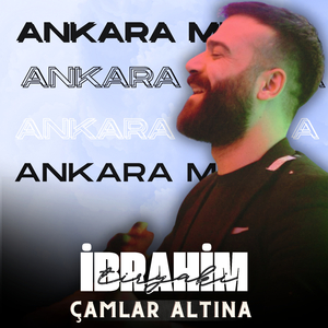 Çamlar Altına