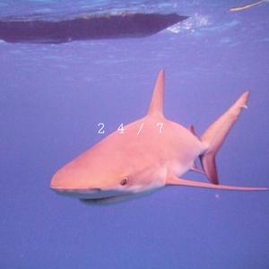 24/7(Prod. by Raypete)