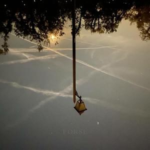 FORSE (feat. Takin' Back Primavera)