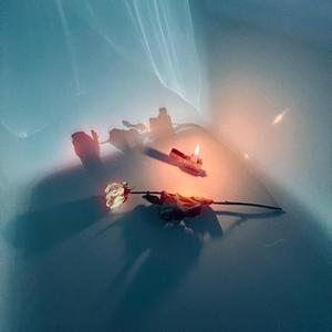 You Wish But I Can't