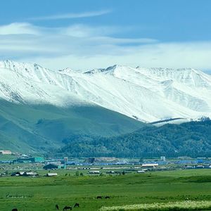 柔软时光里的宁静之梦