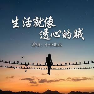 生活就像透心的贼