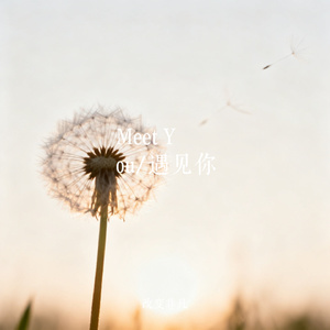 Meet You/遇见你