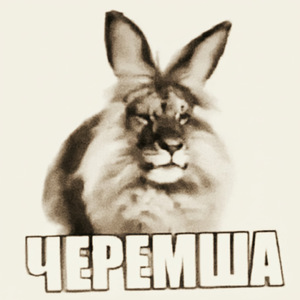 Черемша (Phonk)