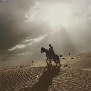 待宰的羔羊x-Disco Inferno（待宰的羔羊x remix）