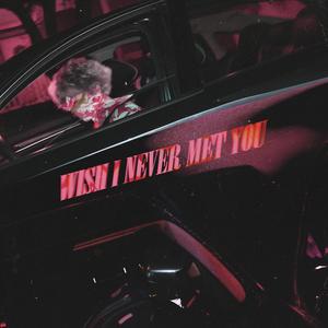 Wish I Never Met You