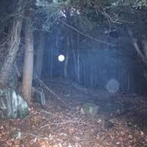 Everyone'sADreamer,SomeJustWannaSleepForever